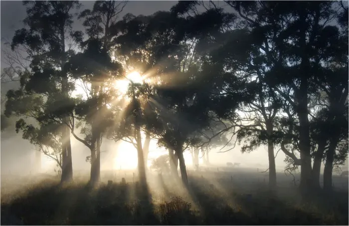 Framed Print : Blissful morning near Paradise, Central Tasmania, Australia