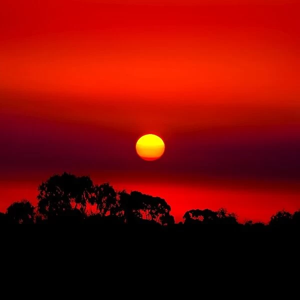 Blood sunset over the plains