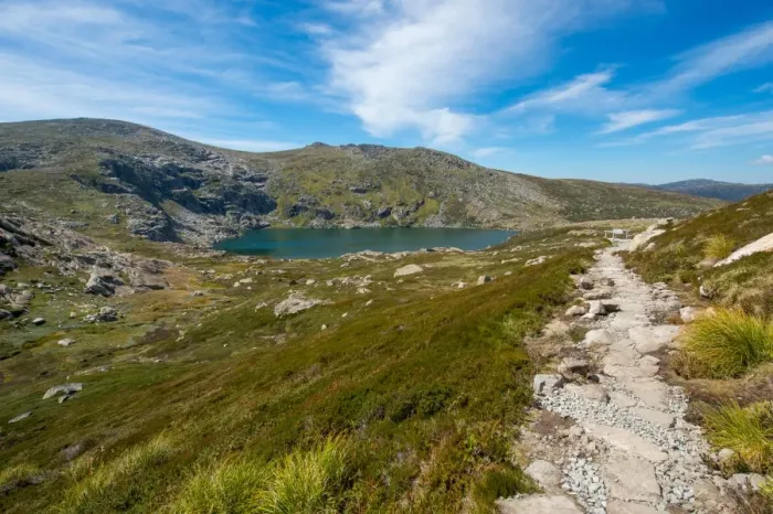 Framed Print : Blue lake track in kosciuszko national park