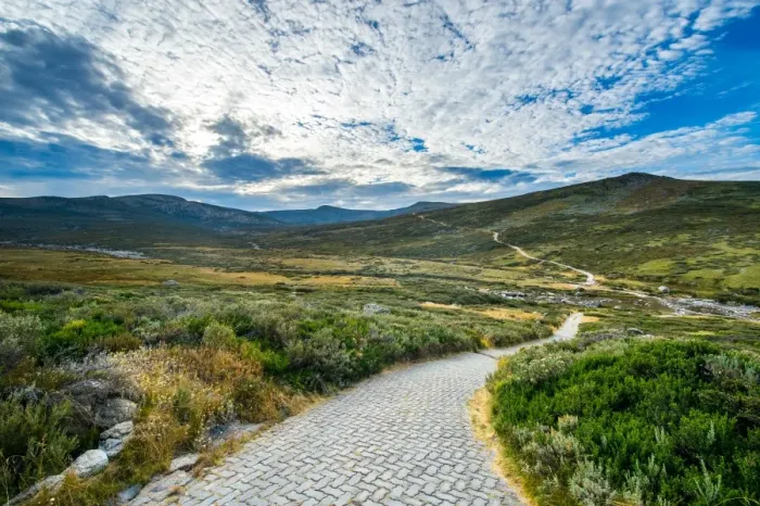 Framed Print : Blue lake track in kosciuszko national park