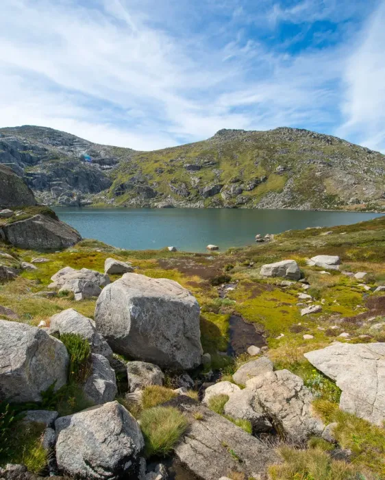 Framed Print : Blue lake track in kosciuszko national park