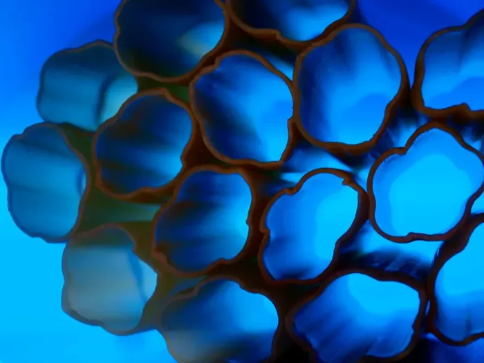 Framed Print : Blue back light shining through cannelloni