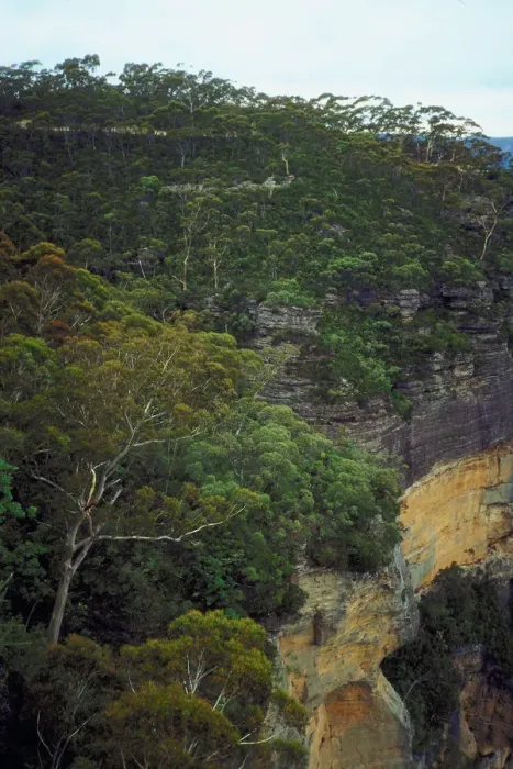 Framed Print : Blue Mountain National Park, Katoomba, Australia