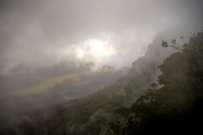 Framed Print : Blue mountains rain forest slops in dense fog