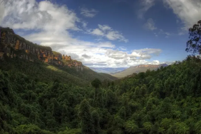 Framed Print : Blue Mountains rainforest and three sisters rock Framed Print : Blue Mountains rainforest and three sisters rock