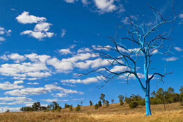 The Blue Tree