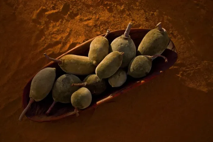 Framed Print : Boab Pods, Coolamon, Red earth
