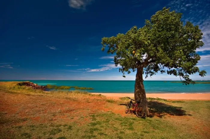 Framed Print : Boab tree and Bike, Town Beach Broome WA