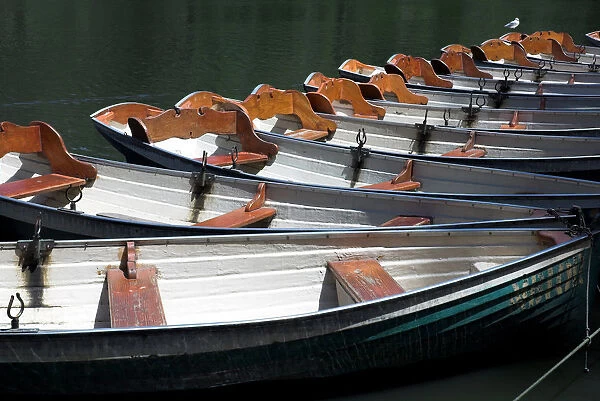 Boats lined up