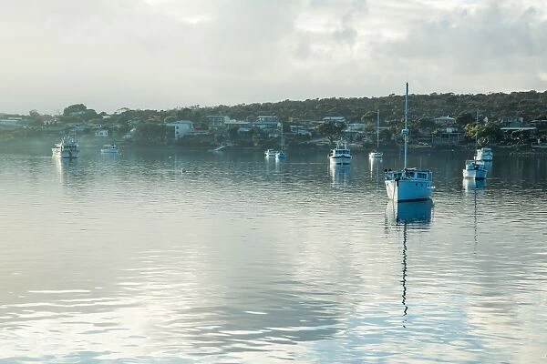 Boats moored at Coffin Bay. South Australia