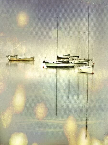 Boats in the Morning