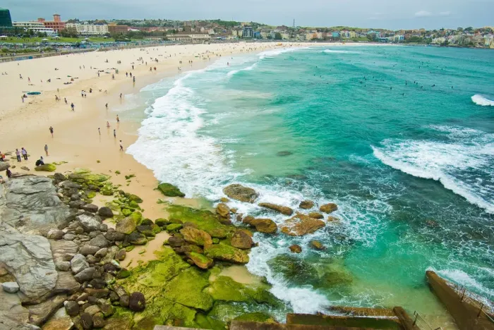 Framed Print : Bondi Beach