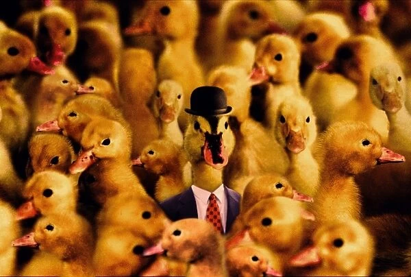 Boss Duck. A Duck in a bowler hat and suit and tie surrounded by other ducks