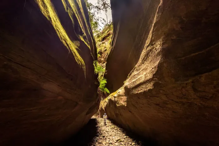 Framed Print : Bowinda Gorge at at Carnarvon Gorge