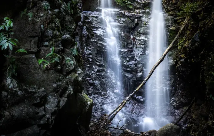 Framed Print : Box Log Falls