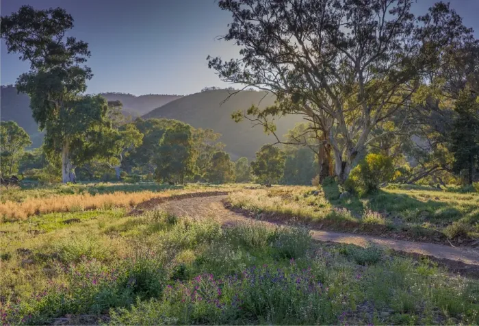 Framed Print : Brachina gorge at dawn, southern region of the Flinders Ranges National Park, South Australia