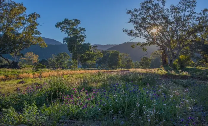Framed Print : Brachina gorge at dawn, southern region of the Flinders Ranges National Park, South Australia