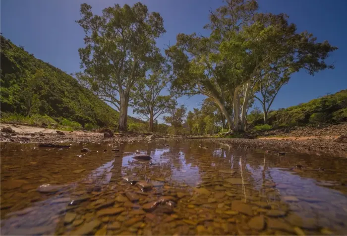 Framed Print : Brachina Gorge reflections