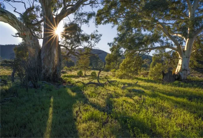 Framed Print : Brachina Gorge sunrise