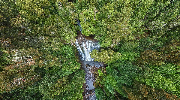 Bridal Veil Fall in Tasmania forest