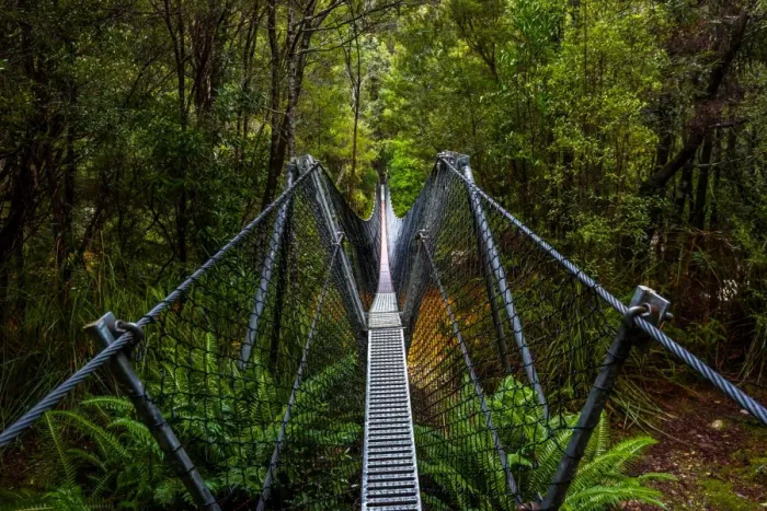Framed Print : Bridge across Franklin River on the track to Frenchmans Cap, Franklin-Gordon Wild Rivers National Park, Tasmanis