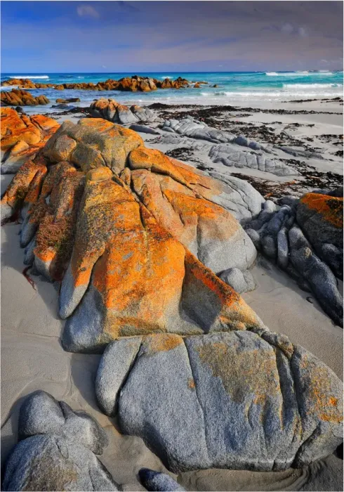 Framed Print : British Admiral Beach