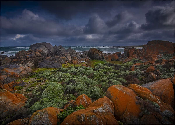 British admiral beach, on the west side of the rugged and wildly beautiful coastline of King Island, Bass Strait, Tasmania, Australia
