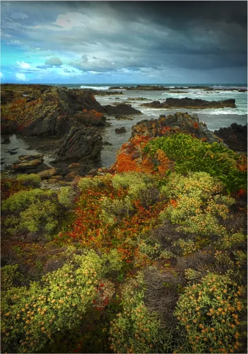Framed Print : British Admiral rocky coastline