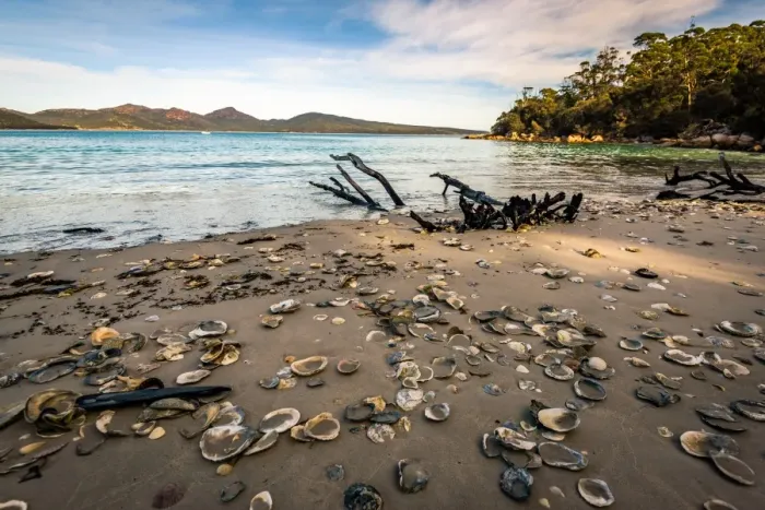 Framed Print : Bryans Beach at Freycinet National Park, Tasmania Framed Print : Bryans Beach at Freycinet National Park, Tasmania