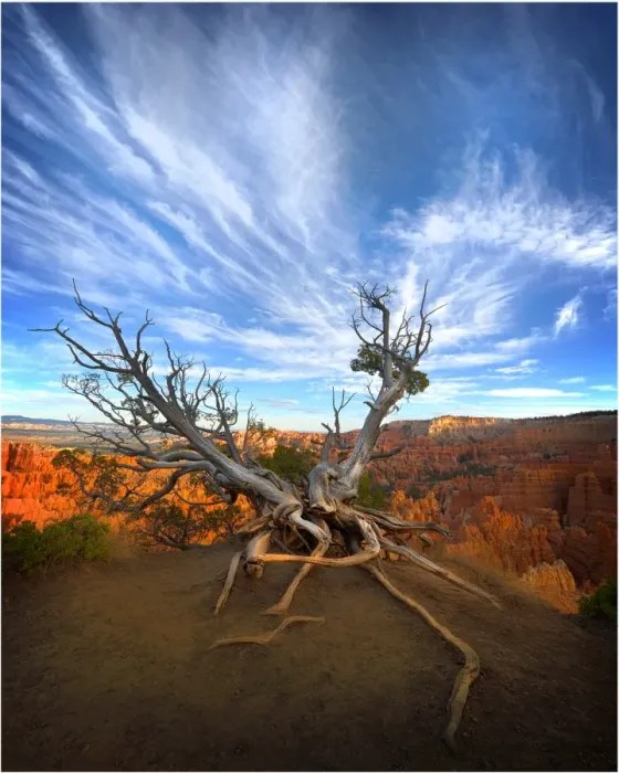 Framed Print : Bryce Canyon National Park, Utah, south west United States