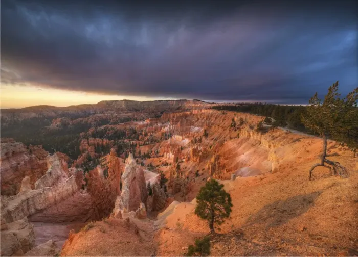 Framed Print : Bryce Canyon National Park, Utah, south west United States