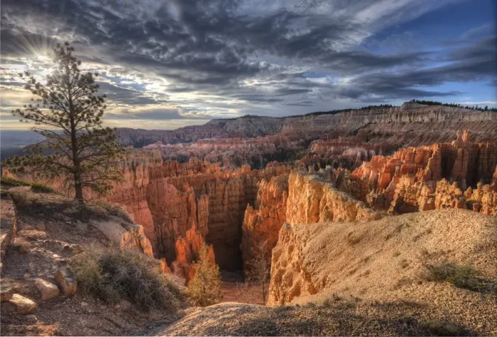 Framed Print : Bryce Canyon National Park, Utah, south west United States Framed Print : Bryce Canyon National Park, Utah, south west United States