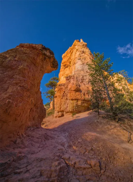 Framed Print : Bryce Canyon National Park, Utah, south west United States