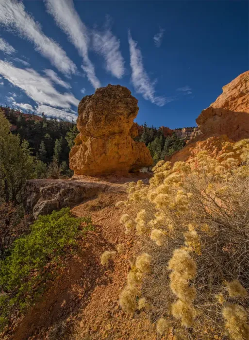 Framed Print : Bryce Canyon National Park, Utah, south west United States
