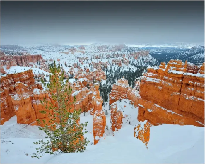 Framed Print : Bryce Canyon National park with a winter covering of snow, Utah, south west United States