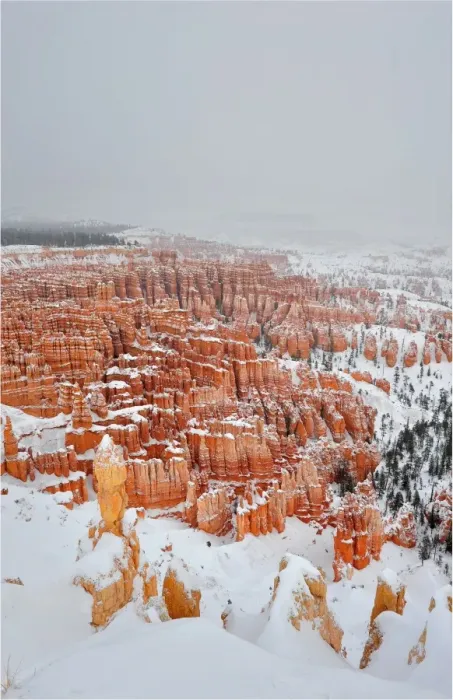 Framed Print : Bryce Canyon National park with a winter covering of snow, Utah, south west United States