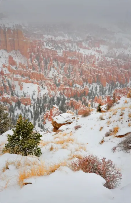 Framed Print : Bryce Canyon National park with a winter covering of snow, Utah, south west United States