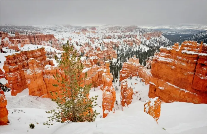 Framed Print : Bryce Canyon National park with a winter covering of snow, Utah, south west United States