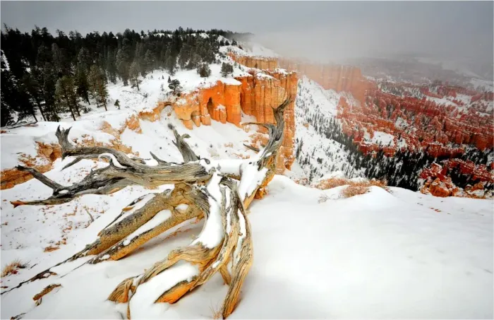 Framed Print : Bryce Canyon National park with a winter covering of snow, Utah, south west United States