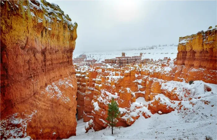 Framed Print : Bryce Canyon National park with a winter covering of snow, Utah, south west United States