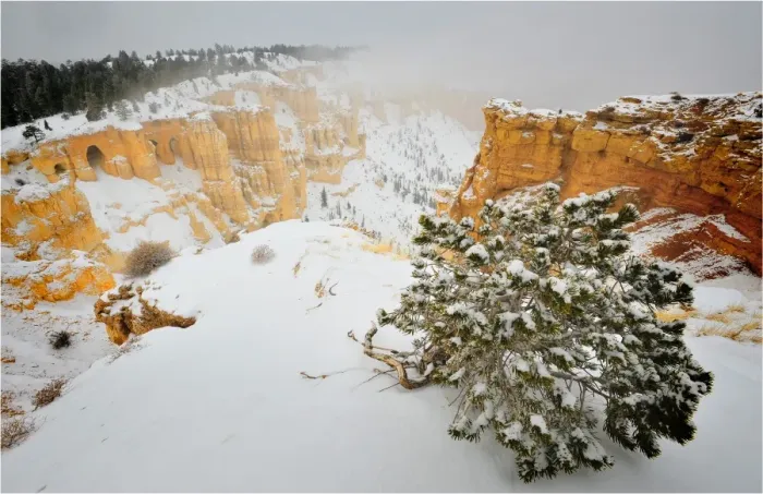 Framed Print : Bryce Canyon National park with a winter covering of snow, Utah, south west United States