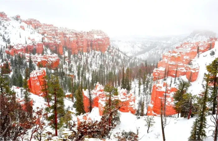 Framed Print : Bryce Canyon National park with a winter covering of snow, Utah, south west United States