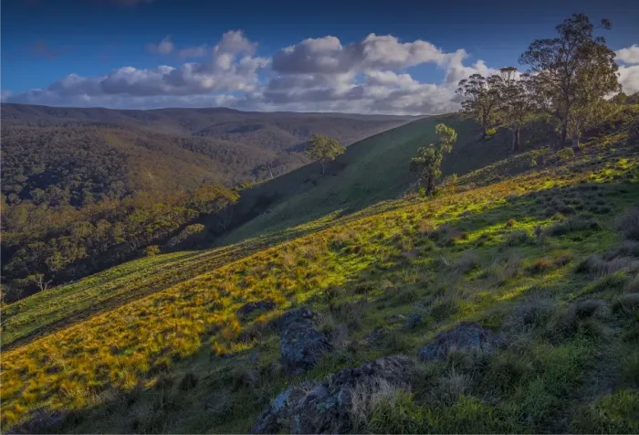 Framed Print : Bullengarook countryside, Macedon Ranges, Victoria, Australia