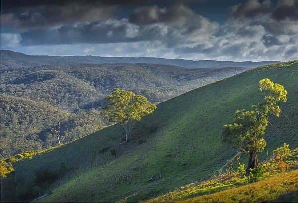 Bullengarook countryside, Macedon Ranges, Victoria, Australia