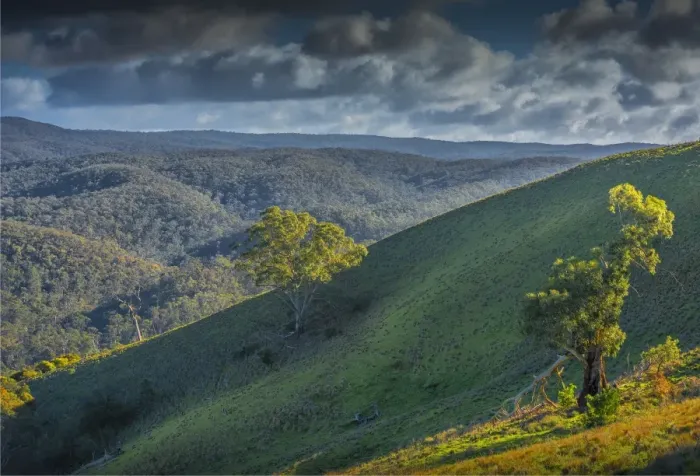 Framed Print : Bullengarook countryside, Macedon Ranges, Victoria, Australia Framed Print : Bullengarook countryside, Macedon Ranges, Victoria, Australia
