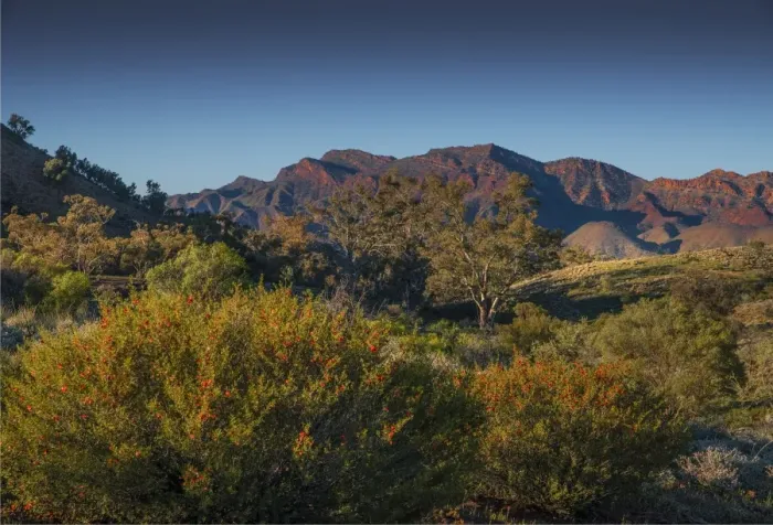Framed Print : Bunaroo Valley, southern region of the Flinders Ranges in South Australia