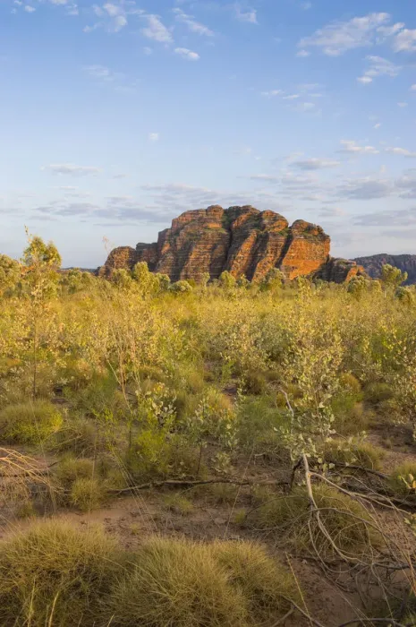 Framed Print : Bungle Bungles, beehive-shaped sandstone towers, Purnululu National Park, UNESCO World Heritage Site, Eastern Kimberleys, Western Australia
