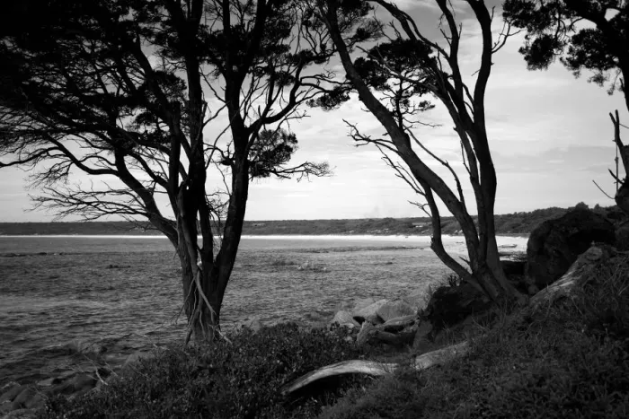 Framed Print : Bunker Bay Beach