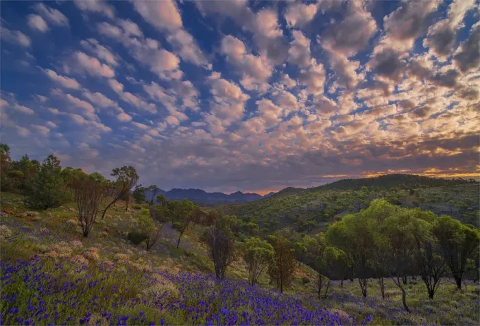 Framed Print : Bunyeroo clouds Framed Print : Bunyeroo clouds