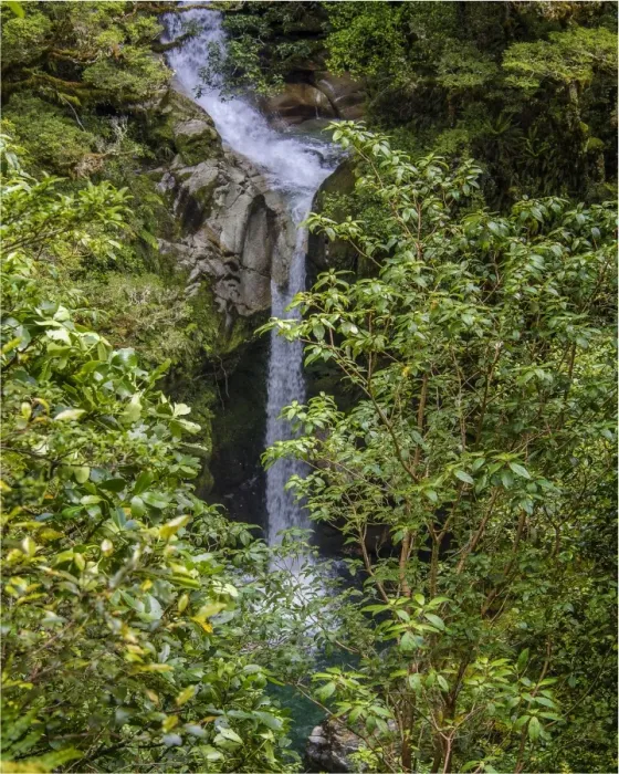 Framed Print : The Burn, a small waterfall set in amongst the rainforest Framed Print : The Burn, a small waterfall set in amongst the rainforest